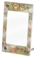 Pikachu & Friends Card Display Frame